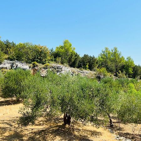 Apartmani Anita Skradin Esterno foto