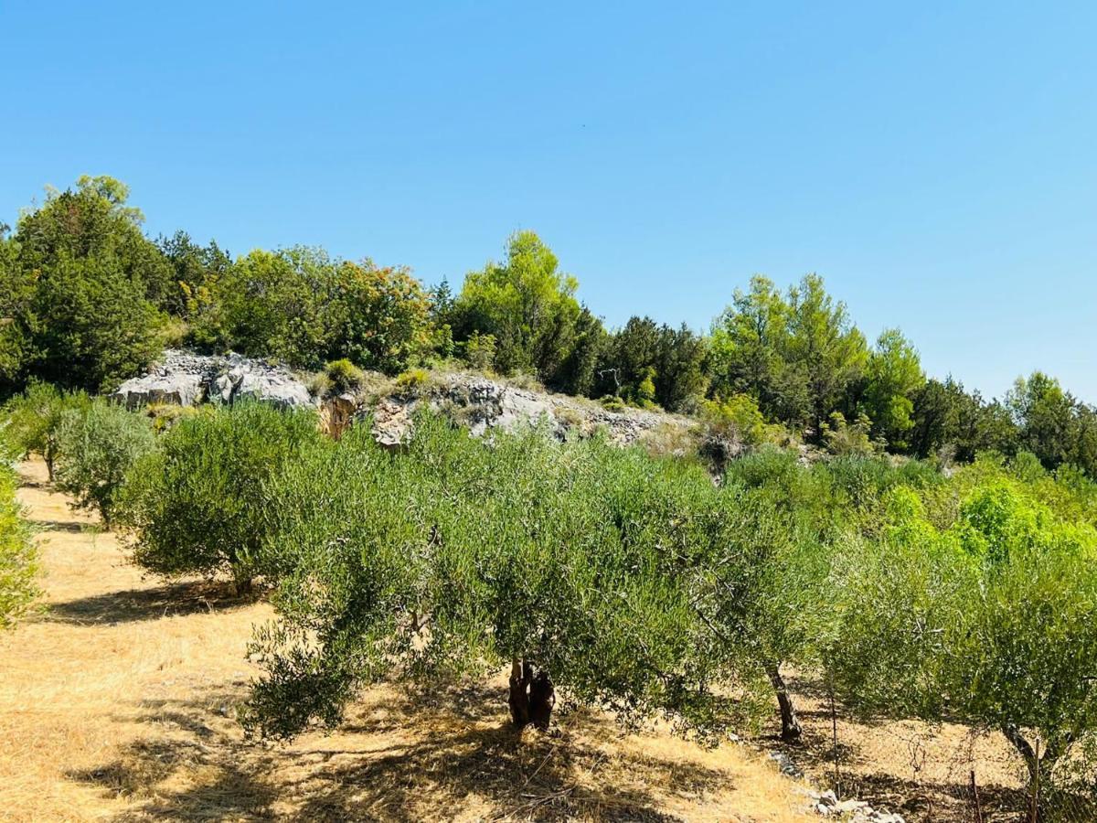 Apartmani Anita Skradin Esterno foto